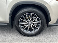 2024 Lexus NX 350h Premium
