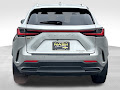2024 Lexus NX 350h Premium